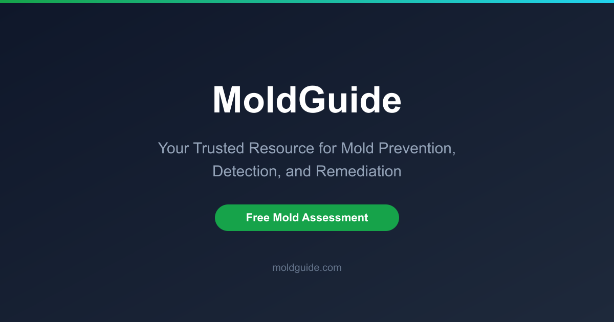 Florida Mold Laws and Regulations — 2026 Summary | MoldGuide